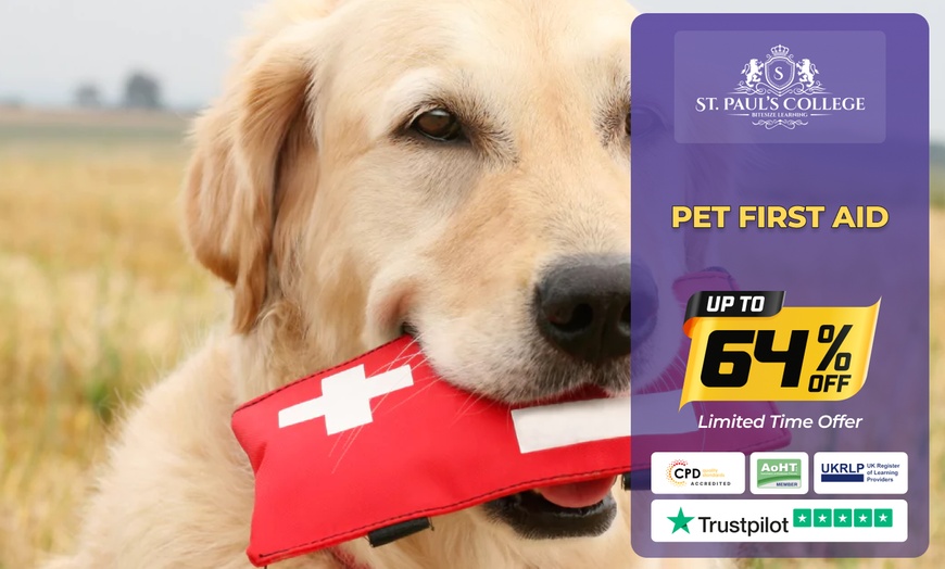 Image 7: Up to 72% Off on Pet - Daycare at St Pauls College