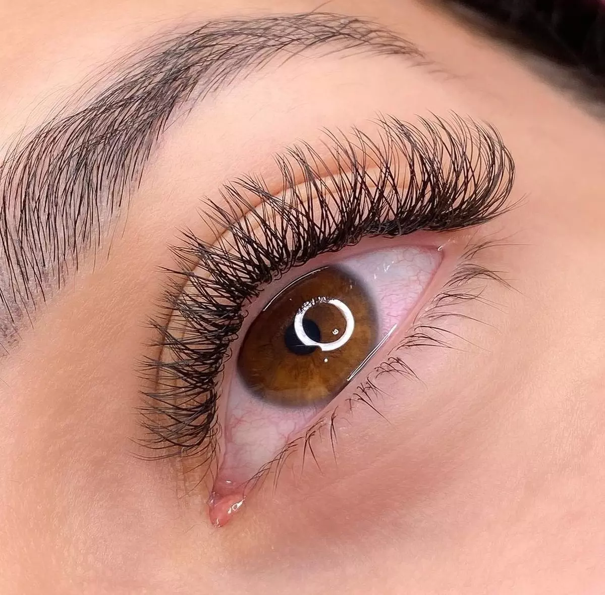 Up to 50% Off on Eyelash Extensions at Shirley Lash - Primary Image
