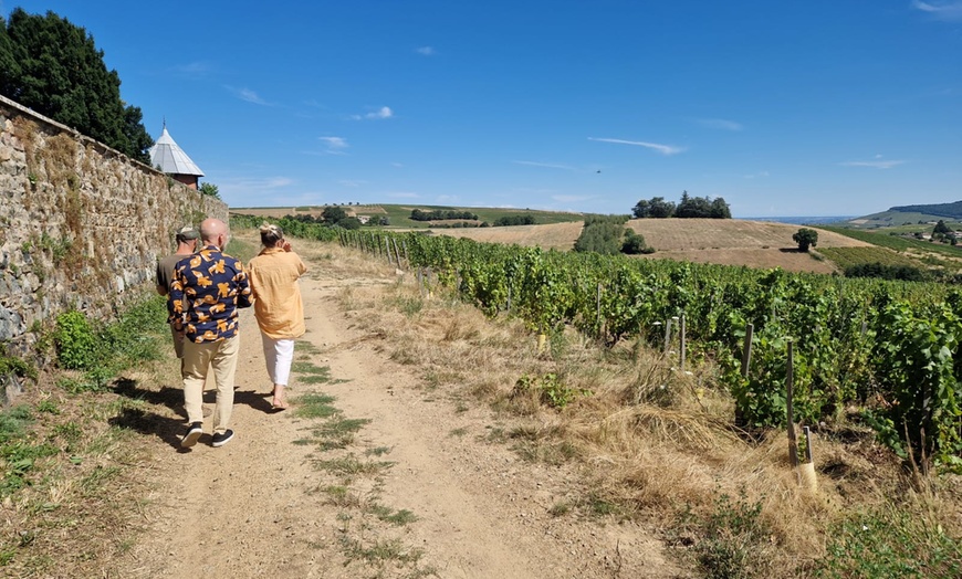 Image 3: Randonnée et dégustation de vin avec Frederic Berne Domaine viticole