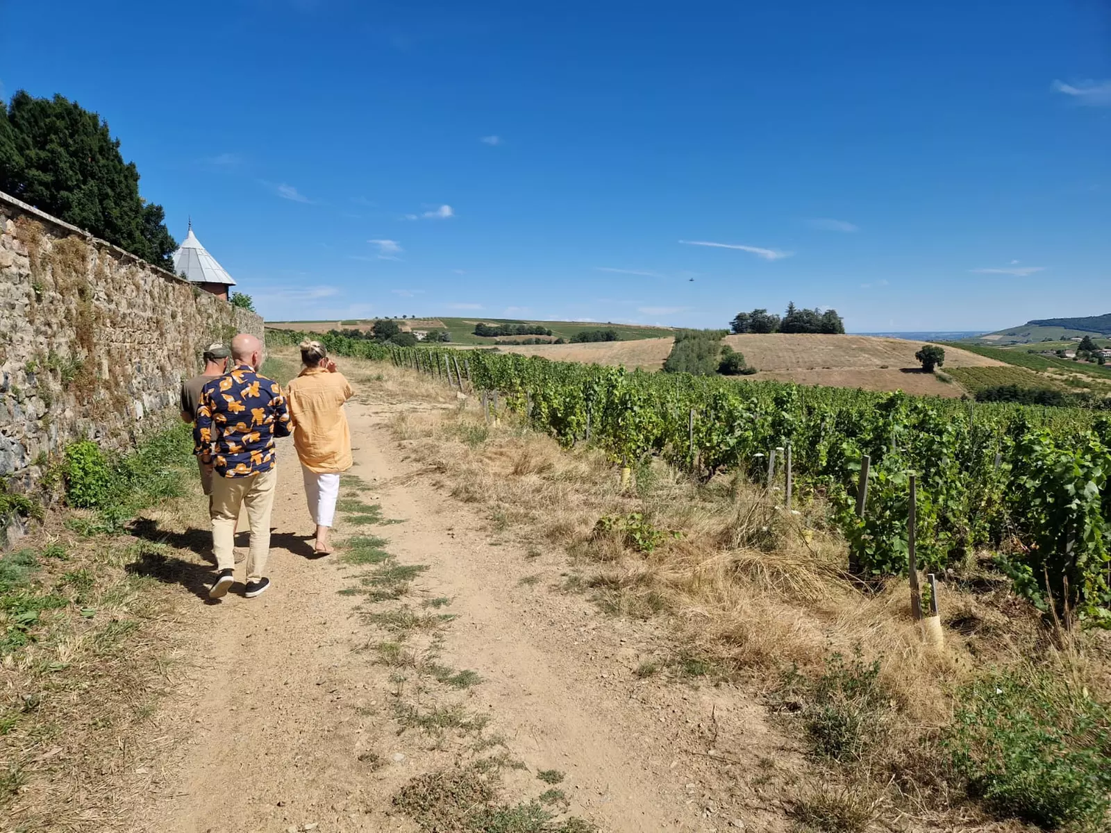 Randonnée et dégustation de vin au Château des Vergers