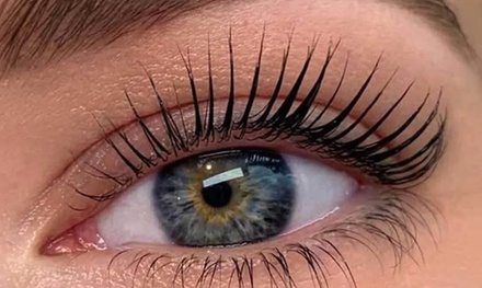 Brow Lamination - Eyelashes Usa Llc