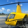 Image 3: Experience a Flight Simulator and Introductory Flight Combo