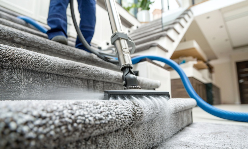 Image 4: Professional Carpet, Upholstery and Area Rug Cleaning Service