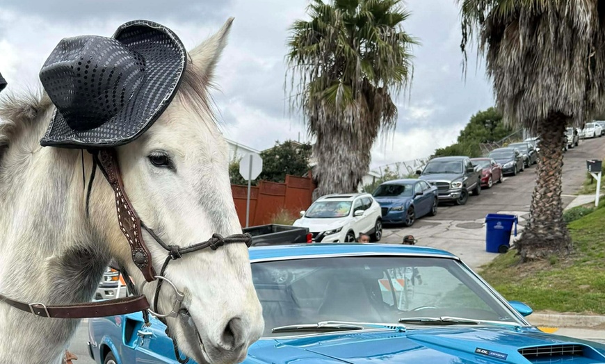 Image 3: Romantic Valentine's Day Horseback Ride – Starlight Acres