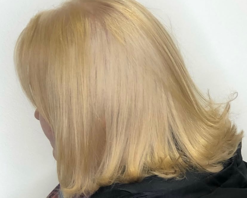 3 Root Touch-Up, Shampoo, Conditioning & Blow-Dry w/ Optional Haircut