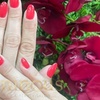 Image 5: Gel Manicure & Spa Pedicure for Long-Lasting Nail Perfection