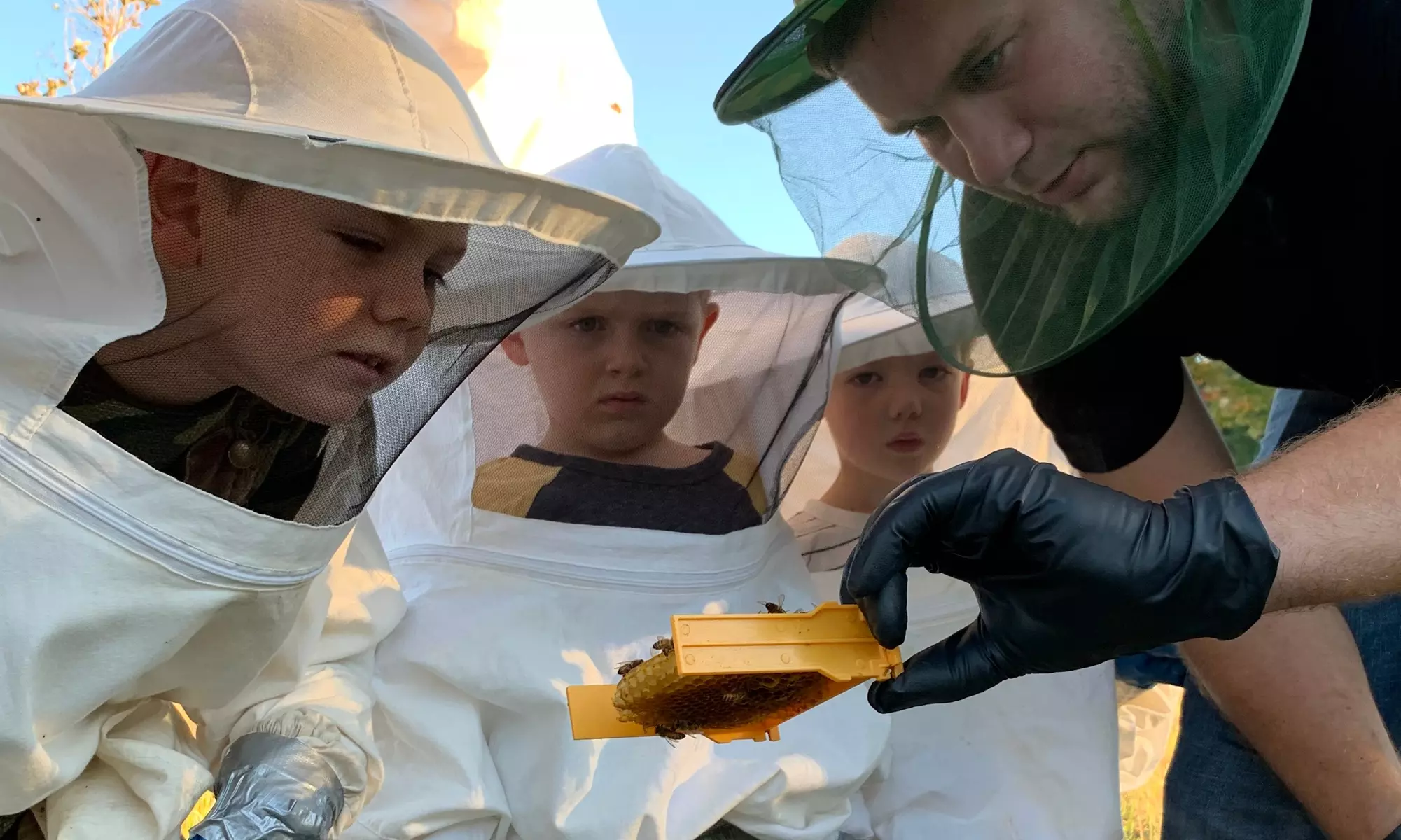 Enjoy Hive Tour, Farm Immersion, and Vineyard Walk