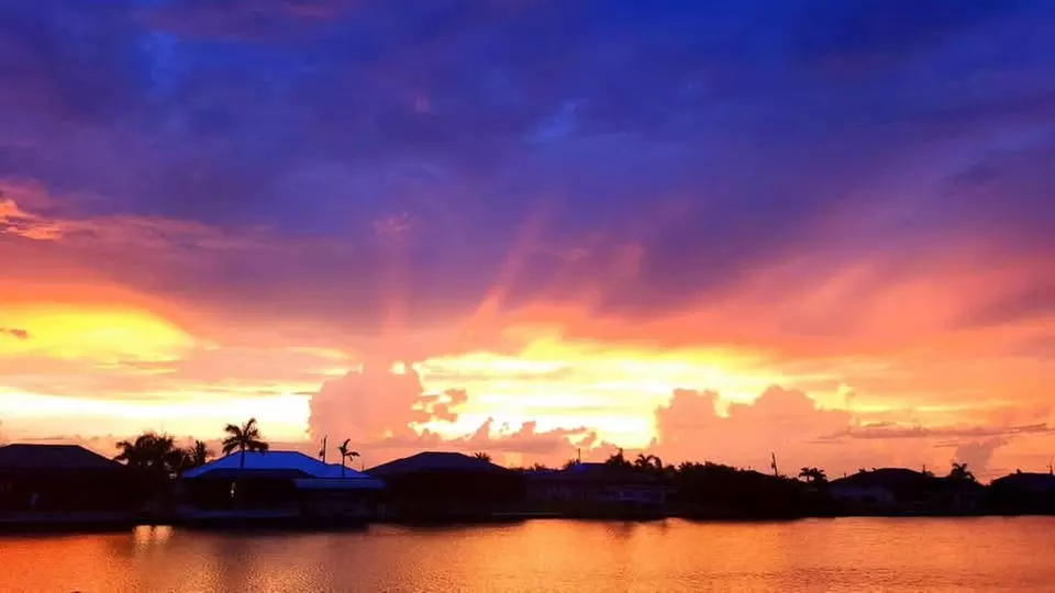 What to expect media