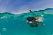 Up to 20% Off on Snorkeling at Blue Boat Tours LLC - Second Medium
