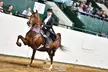 Up to 33% Off on Horse Back Riding - Training at Willow Ridge Farm Of Woodstock LLC - Second Medium