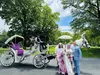 Experience Central Park's Beauty with a Choice of Horse-drawn Carriage Tour from New York City Rides (Up to 10% Off)
