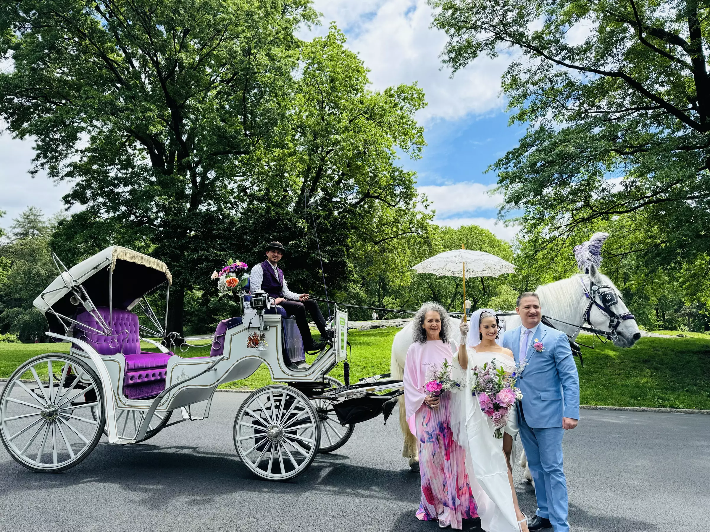Experience Central Park's Beauty with a Choice of Horse-drawn Carriage Tour from New York City Rides (Up to 10% Off) - Primary Image