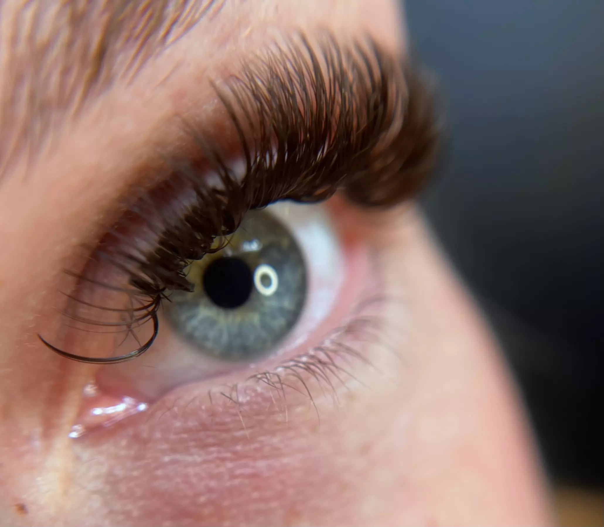 Discover stunning eyelash extensions with Lashed Out By Lex LLC, offering Classic to Mega Volume styles with up to 49% off - Primary Image