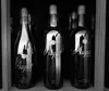 Wine Tasting for Two with Optional Chocolate - Taste 3 Wines Each at August Briggs Winery (Up to 37% Off)