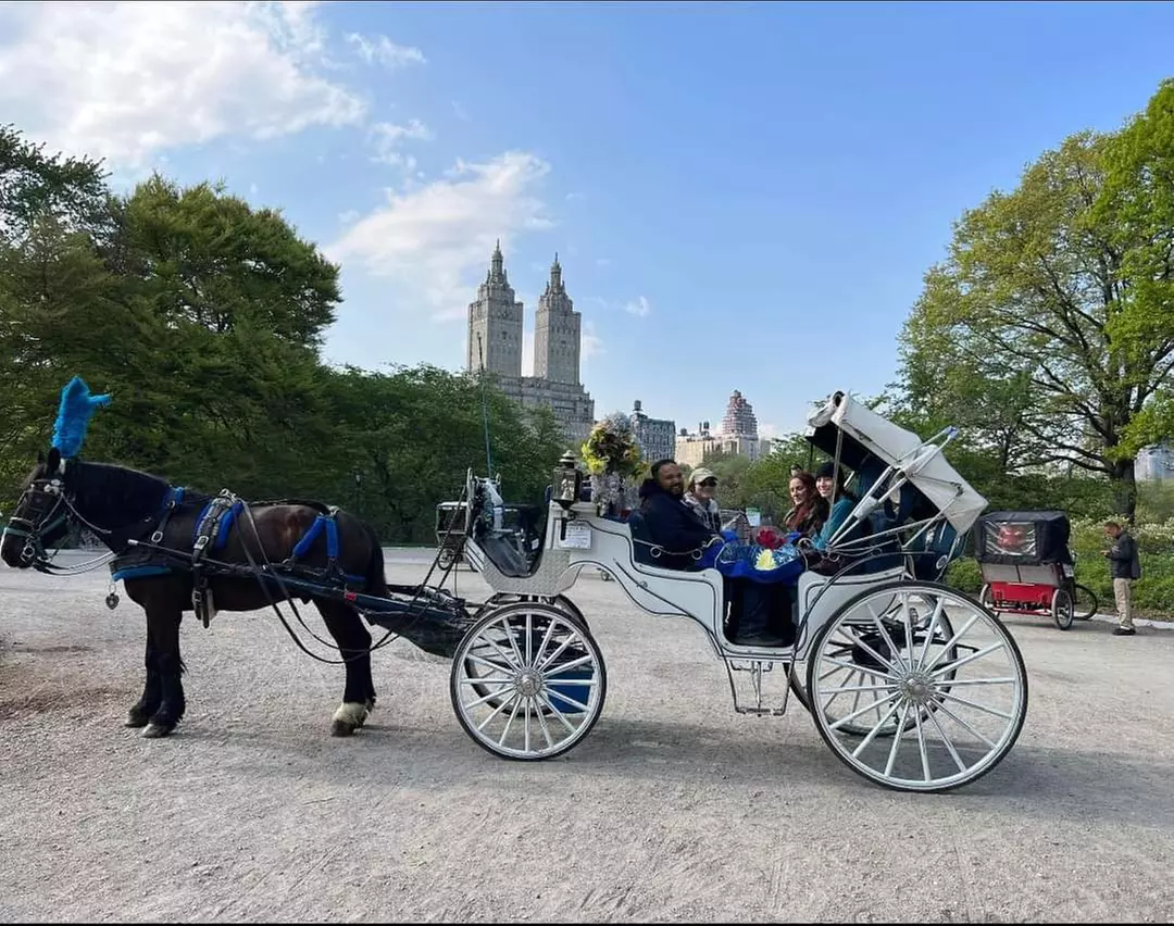 Enjoy a 45-Minute Classic or 60-Minute Deluxe Horse & Carriage Ride 