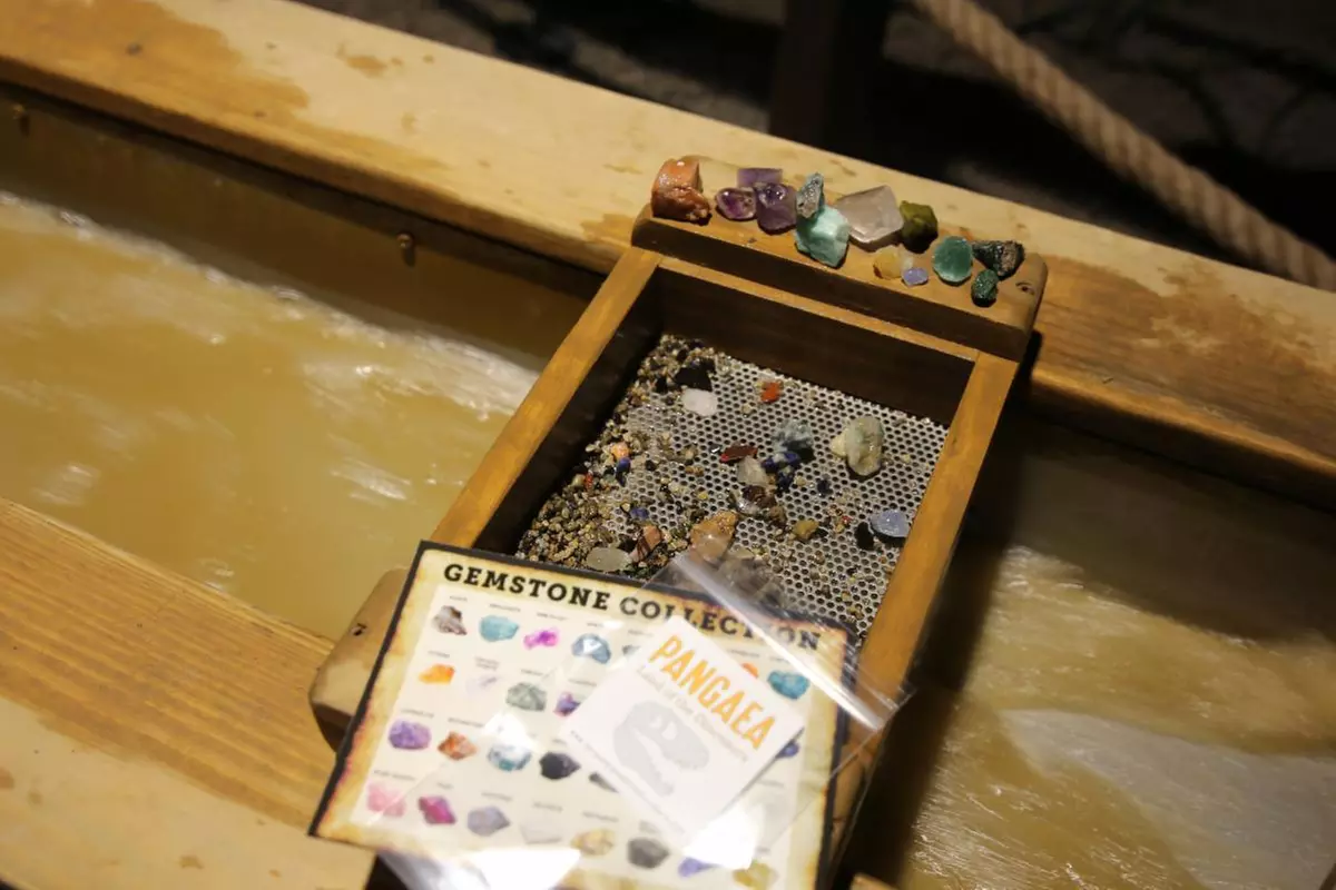 Dinosaur Exhibit Deals & Discounts - Pangaea Land of the Dinosaurs