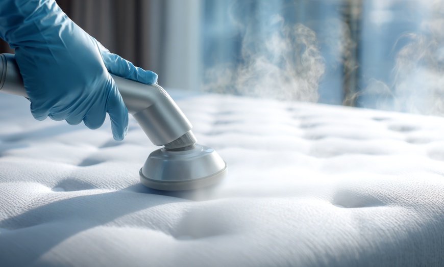 Image 11: Professional Carpet, Upholstery and Area Rug Cleaning Service