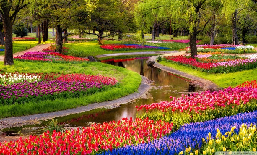 Image 3: Bis zu 90% auf Digitalisierung Videokassetten/ Hi8 / Mini DV