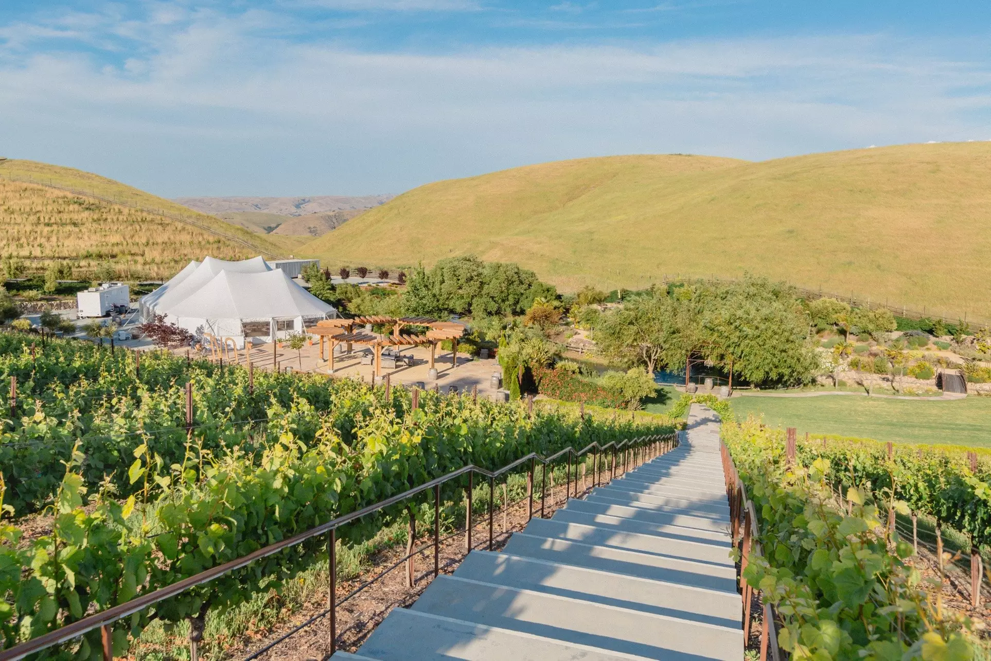 Laughing Glass Event or Choice of Red or White Wine Bottle + Bocce