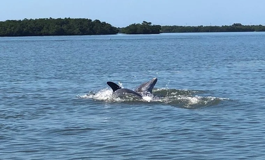 Image 9: Thrilling Jet Ski Rentals & Relaxing Beach Day Packages