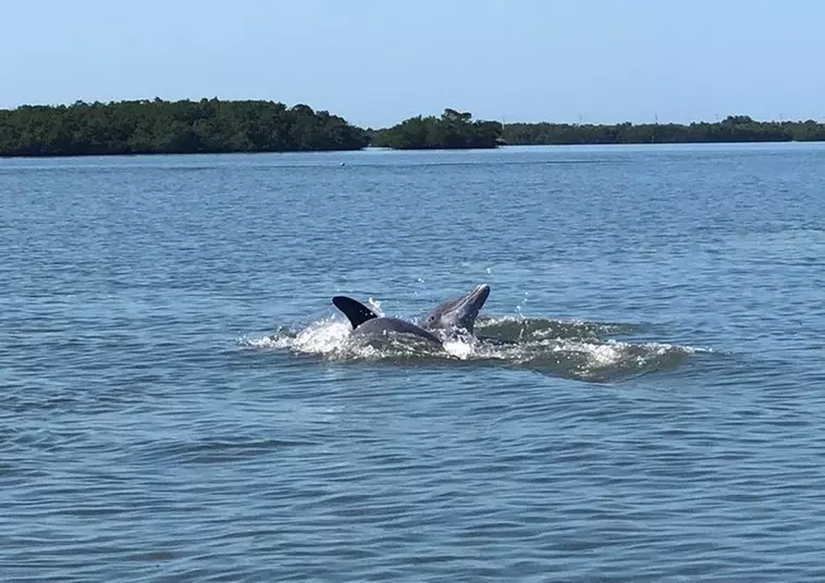 Thrilling Jet Ski Rentals & Relaxing Beach Day Packages in Fort Myers Beach