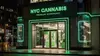 Explore NYC's Cannabis Culture w/ Dispensaries Visits & Street Art | Infused Pizza Included | Group Activity of Up to 4