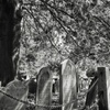 Image 2: 90-Minute Haunted Ghost Walking Tour for One, Two or Four