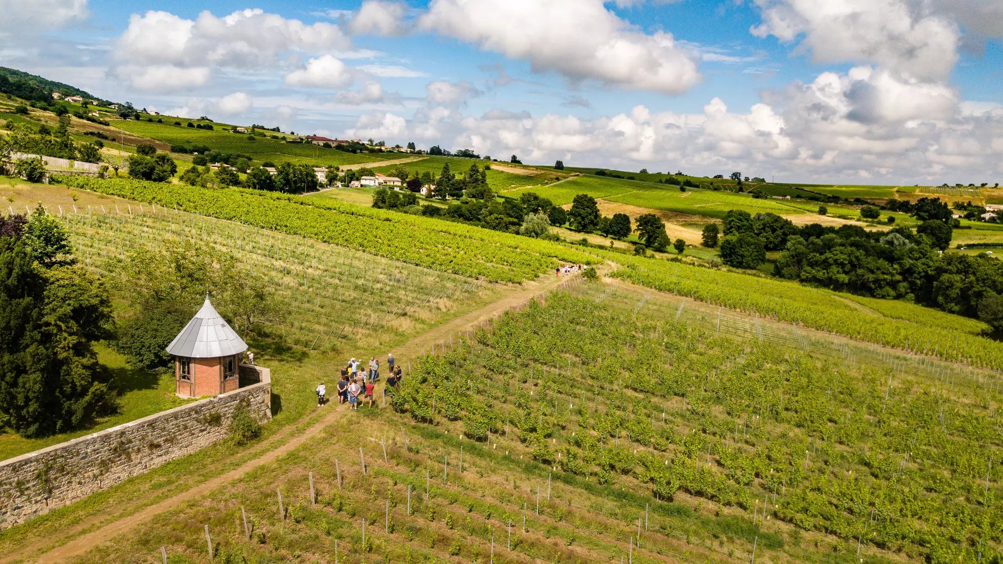 Randonnée et dégustation de vin au Château des Vergers