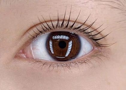 Classic full set of eyelash extensions by Linda Li - The Queen Brow & Lashes