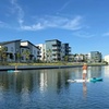Image 1: Standup Paddle Board Rental in Tampa's Westshore Marina District