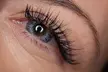Up to 50% Off on Full Set with Refill Discount (Classic, Wet, Hybrid, or Volume) at RAD Beauty - Second Medium