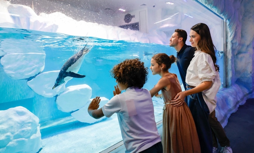 Image 2: Up to 12% Off on  at Peace Land Travel and Tourism