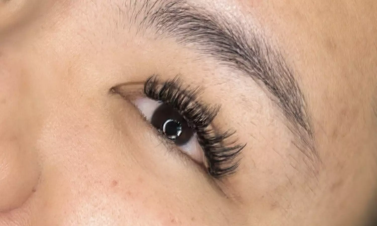 Full Volume, Classic, Mega Volume, or Brow Lamination + Lash Lift