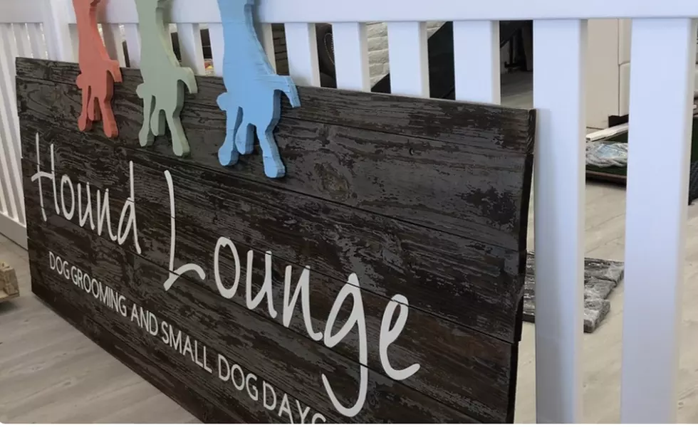 Up to 50% Off on Pet Daycare at Hound Lounge - Primary Image