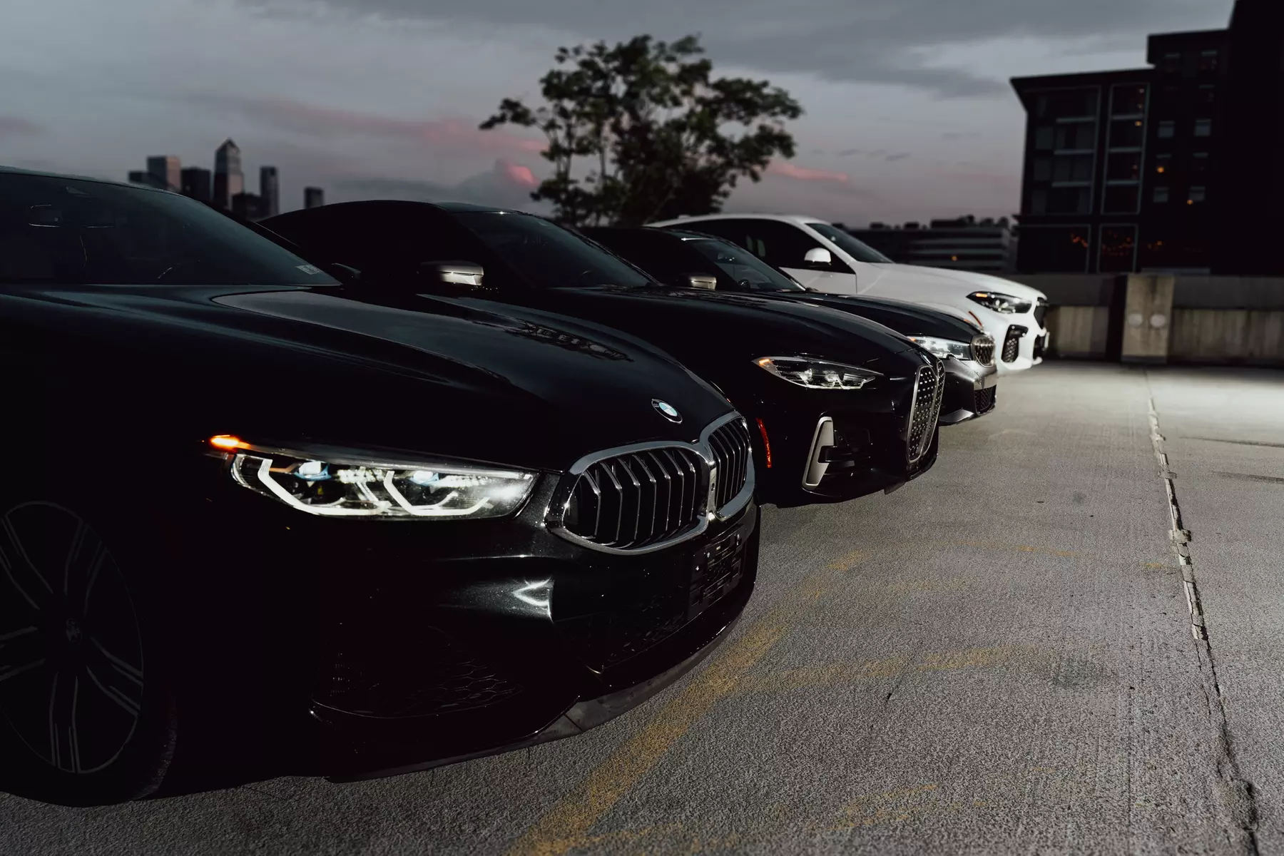 60- or 90-Min or 2-Hour Luxury Wedding Photoshoot Vehicle Experience