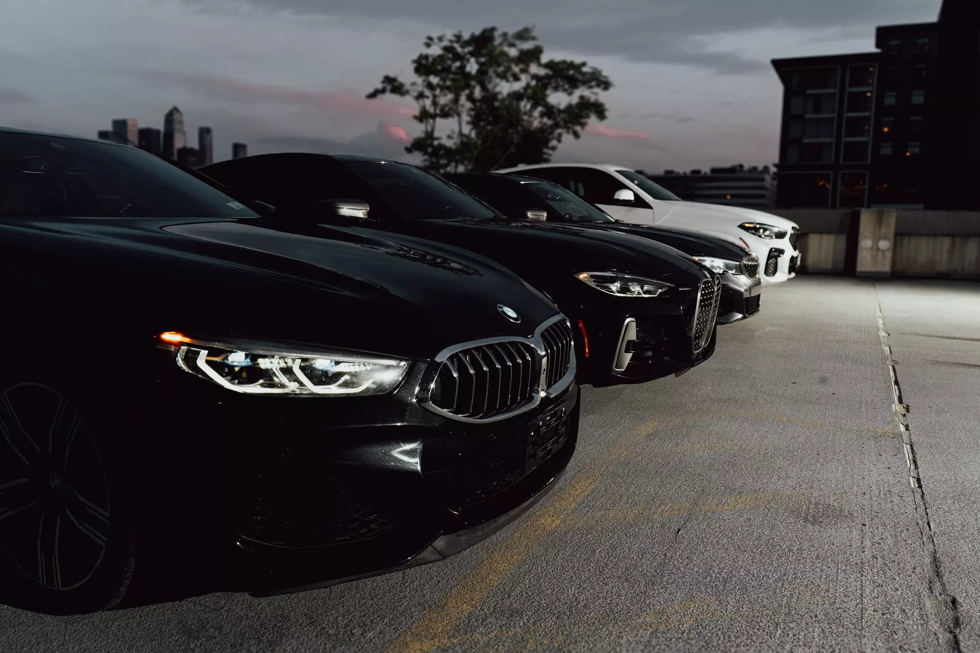 60- or 90-Min or 2-Hour Luxury Wedding Photoshoot Vehicle Experience