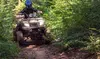 Push off Limits with Expert-Led Youth ATV Adventure Experience for Ages 6-16 at Iron Stallions ATV Adventures Inc