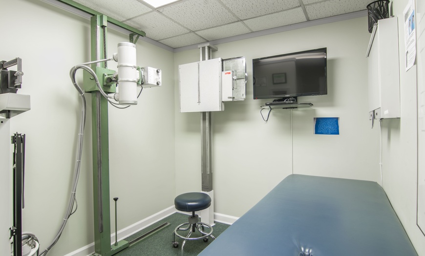 Image 4:  Chiropractic, Cervical & Lumbar X-Rays, Consultation, Adjustment