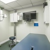 Image 4:  Chiropractic, Cervical & Lumbar X-Rays, Consultation, Adjustment
