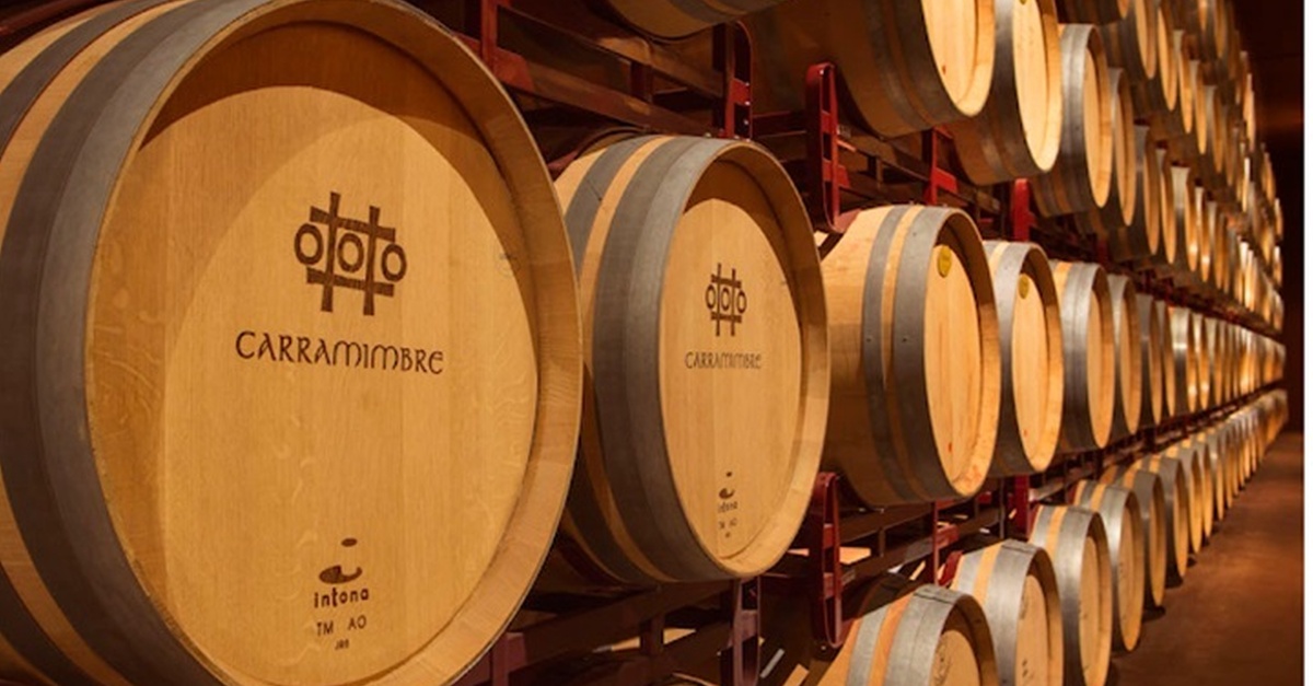 Visita guiada a bodega con degustación de vinos en Madrid