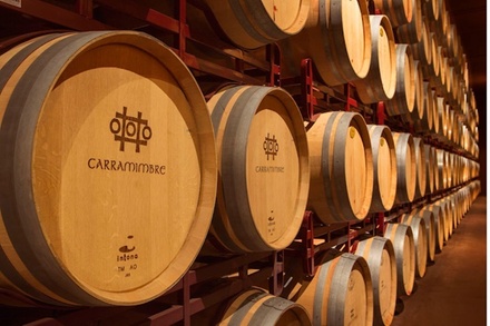 Para 1 persona (L-V): Visita guiada a bodega con degustación de 3 vinos y aperitivo - Bodegas Carramimbre