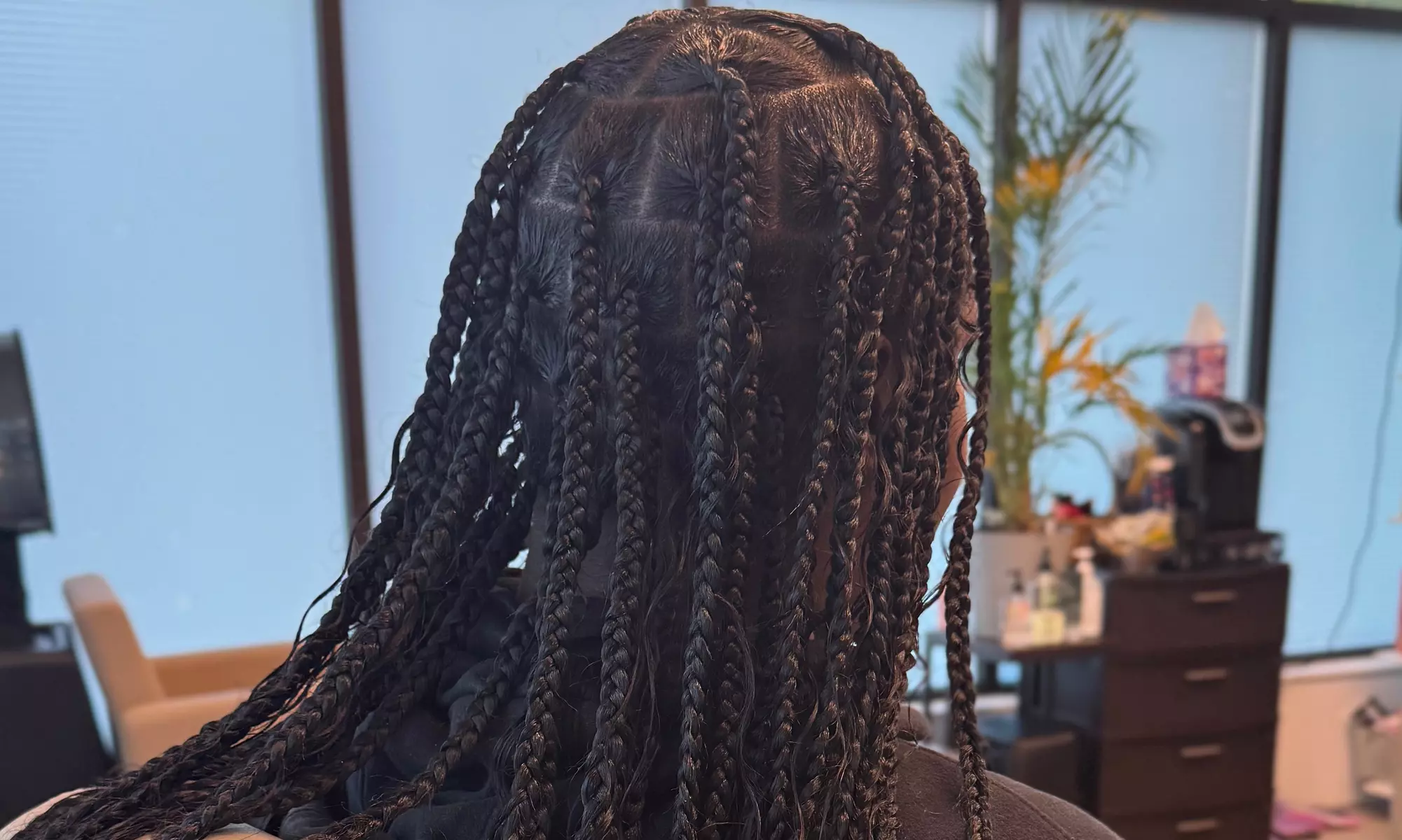 Transform Your Look: Knotless Braid Session 
