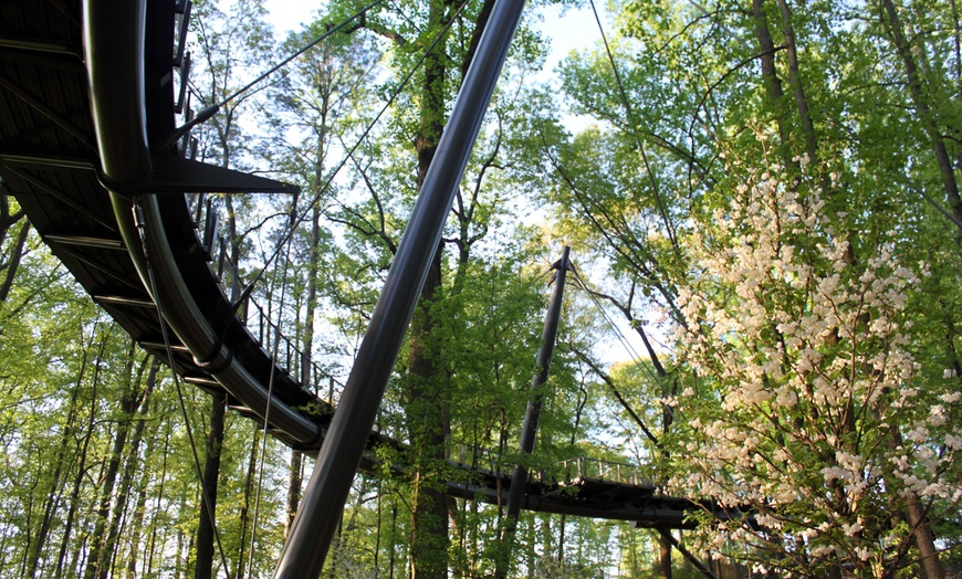 Image 8: Admission to Atlanta Botanical Garden – Midtown Urban Oasis