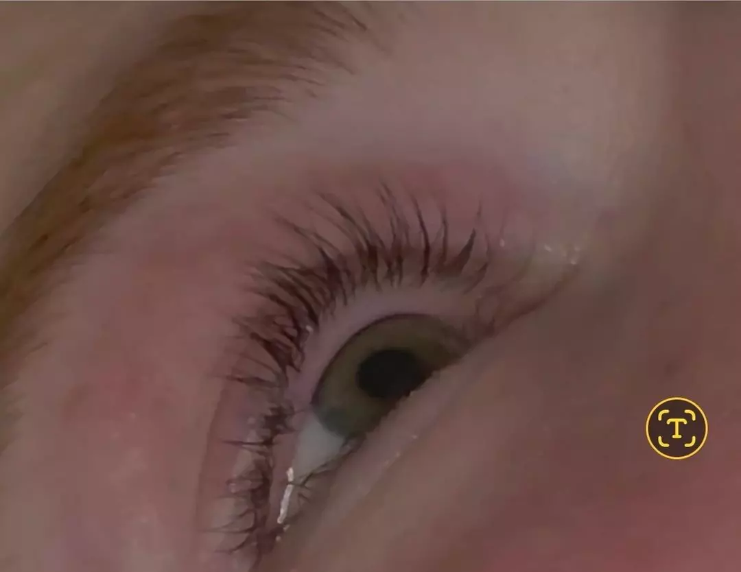 Enhance Your Look: One Eyelash Lift Treatment with Optional Tinting