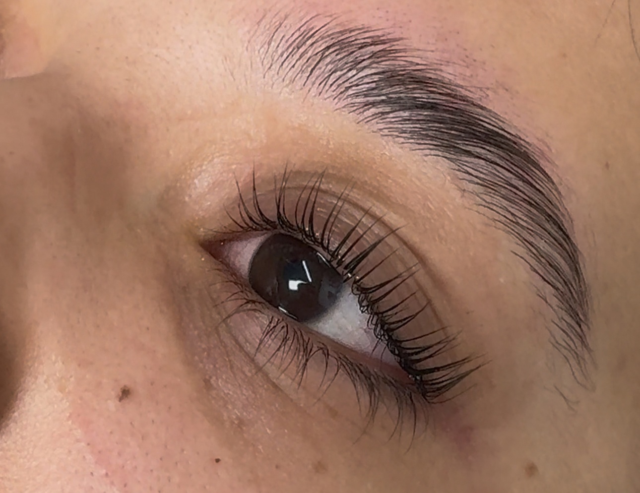 Up to 43% Off on Eyelash Perm at Diana Daravina Beauty LLC
