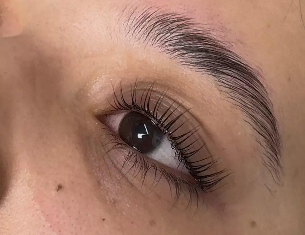 Up to 43% Off on Eyelash Perm at Diana Daravina Beauty LLC