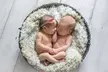 Up to 59% Off on Seasonal Photography at Shelles Creative Photography - Second Medium