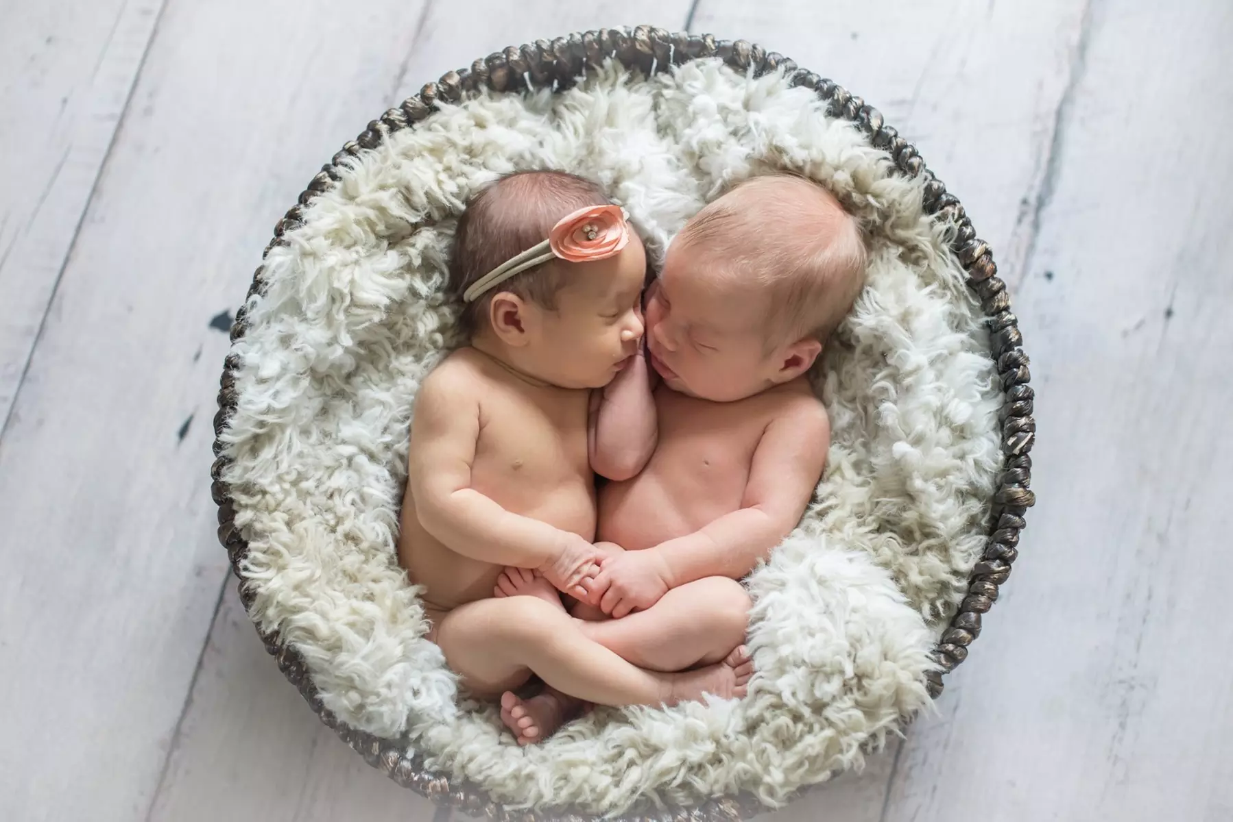 Up to 54% Off on Seasonal Photography at Shelles Creative Photography