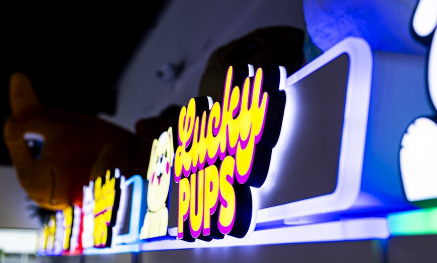 Image 7: Win Adorable Plushies & Prizes: 30 or 60 Arcade Tokens in Houston