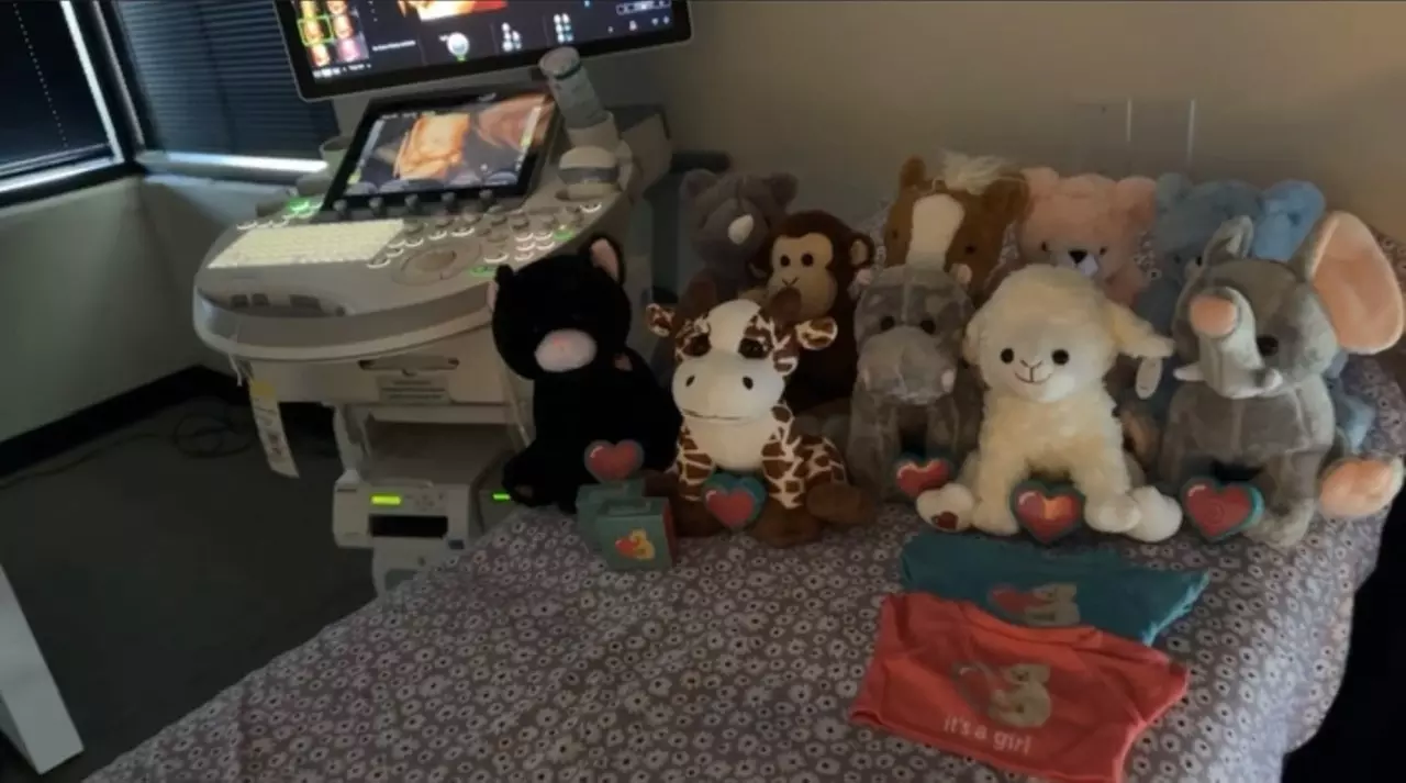 Up to 30% Off on Ultrasound - 3D / 4D at BabySelfie